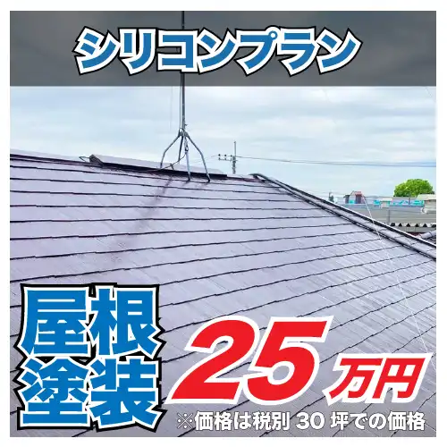 屋根塗装シリコン25万円